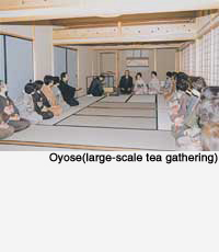 Large-scale tea gathering