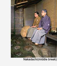 The middle break