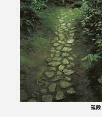 表千家不審菴：茶室と露地：茶室と露地