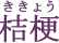 桔梗