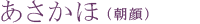 あさかほ(朝顔)