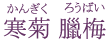 寒菊 臘梅